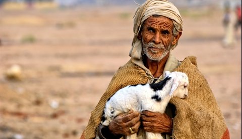 Egipto para todos