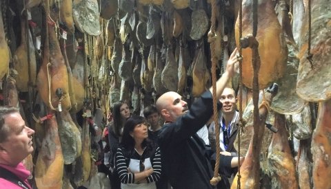 Siente Extremadura Single