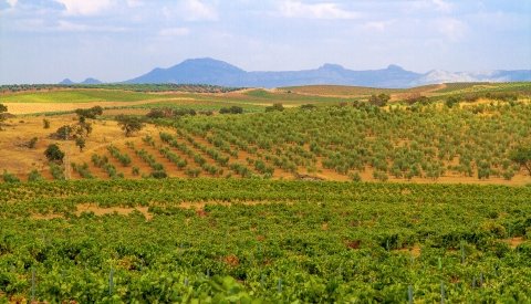 Siente Extremadura Single