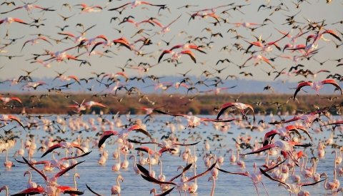 Conexión Natural. Ecoturismo