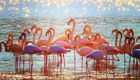 Conexión Natural. Ecoturismo