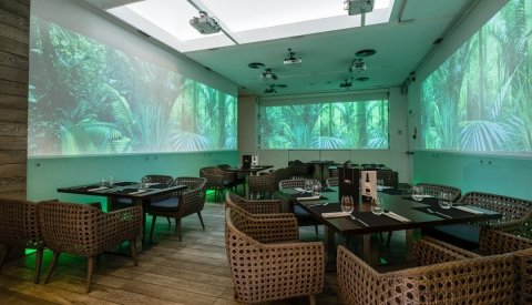 Experiencia gastronómica