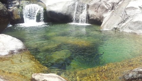 Verano Mágico en Gredos