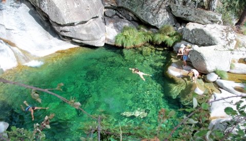 Verano Mágico en Gredos