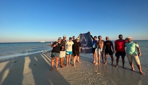 Nadar con delfines en libertad