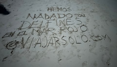 Nadar con delfines en libertad