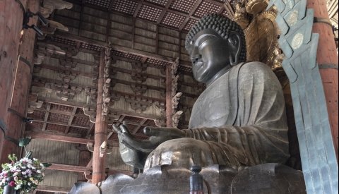 Festivales y tradiciones en Japón