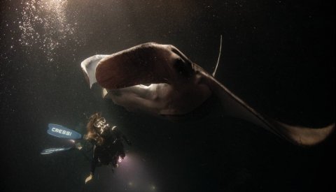 Maldivas Entre Atolones