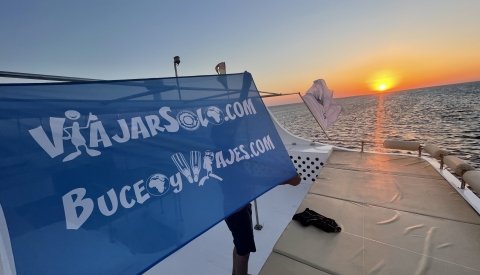 Nadar con delfines en libertad