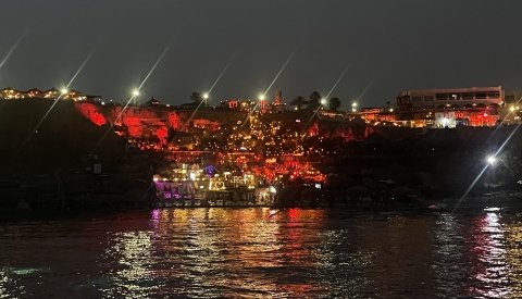 Nadar con delfines en libertad