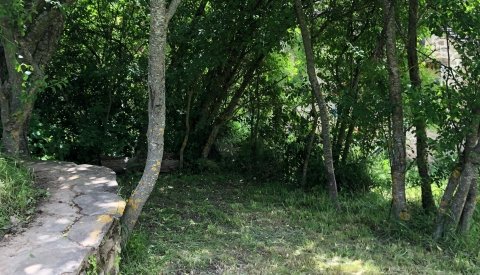 Magia y bienestar en el Pirineo