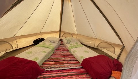 Nadar con delfines en libertad