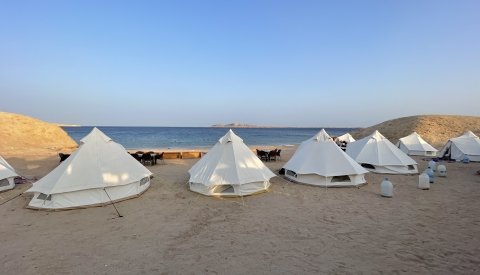 Nadar con delfines en libertad