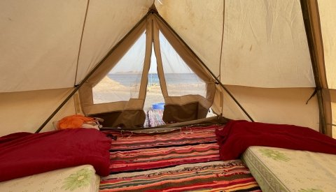 Nadar con delfines en libertad