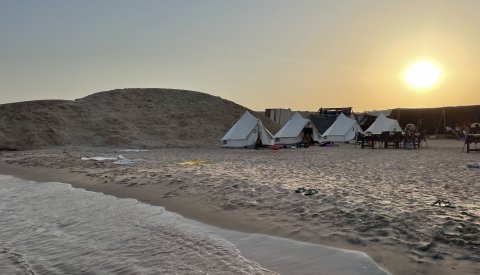 Nadar con delfines en libertad