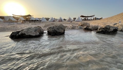 Nadar con delfines en libertad