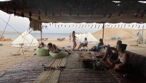 Nadar con delfines en libertad