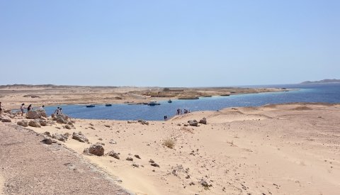 Nadar con delfines en libertad