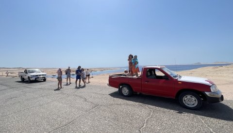 Nadar con delfines en libertad