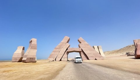 Nadar con delfines en libertad