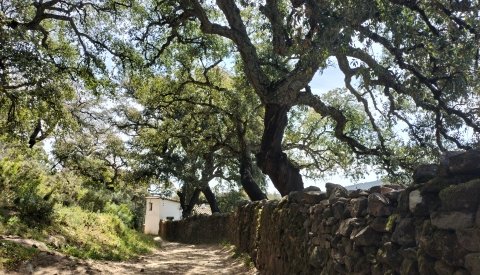 Senderismo en Huelva