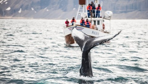La vuelta a Islandia