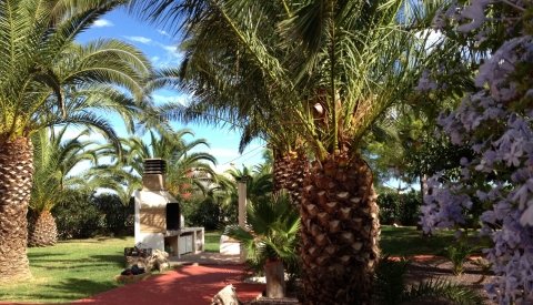 Retiro de yoga en Benicarló