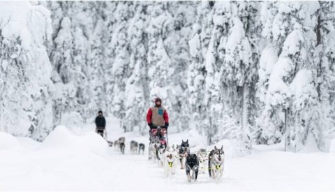 Auroras Boreales Escandinavas