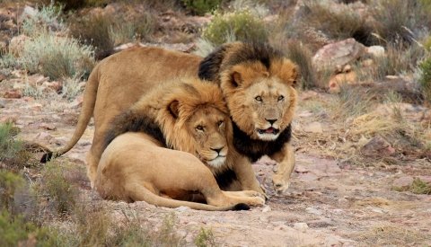 Sudáfrica y Swaziland