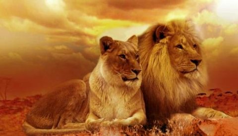 Kenya, Tanzania y Zanzibar