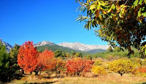 Verano Mágico en Gredos