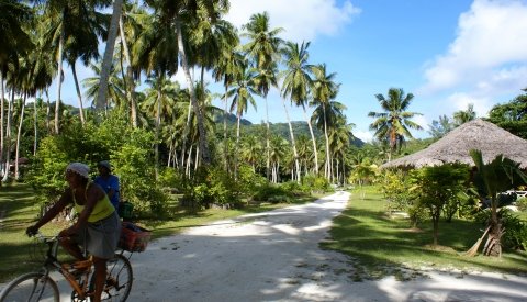 Crucero exclusivo LGTBQ+