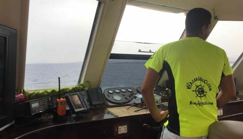 Nadar con delfines en libertad