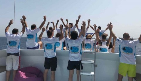 Nadar con delfines en libertad