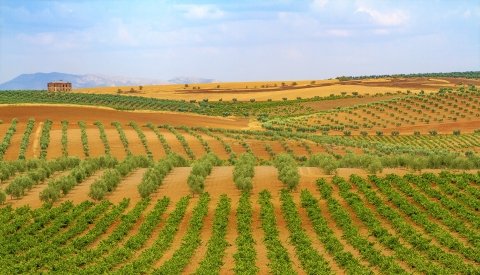 Extremadura Monumental Single