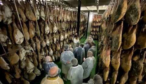 Extremadura Monumental Single