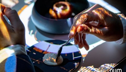 Experiencia gastronómica