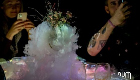 Experiencia gastronómica