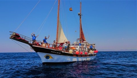 Observación de Cetáceos
