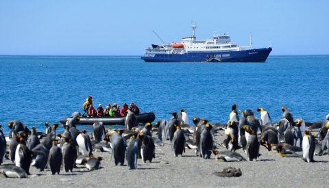 Descubre la Antártida