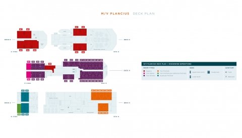 Descubre la Antártida