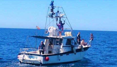 Costa Cálida Single