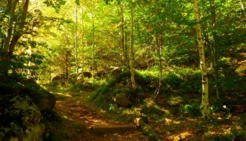Yoga y meditación en Cantabria