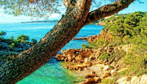 Conexión Natural. Ecoturismo