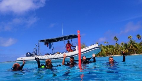 Islas de Polinesia Single