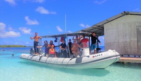 Islas de Polinesia Single