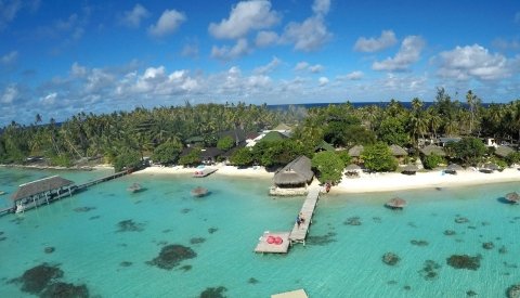 Islas de Polinesia Single