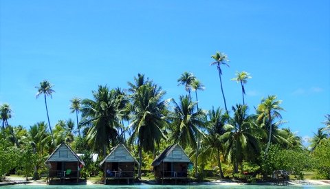 Islas de Polinesia Single