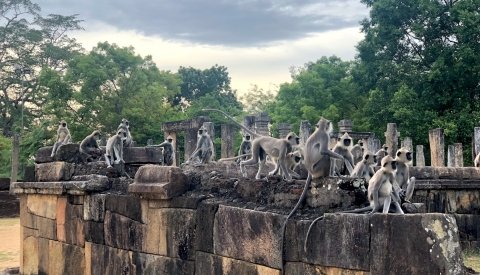 Maravillas de Sri Lanka