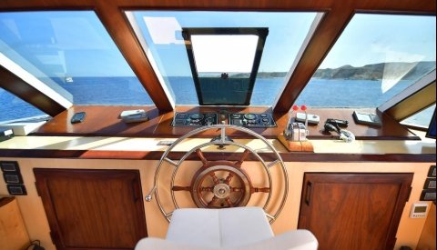 Nadar con delfines en libertad